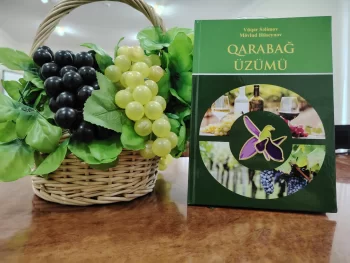 “Qarabağ üzümü” adlı yeni kitab nəşr olunub