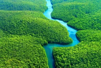 “Planetin ağciyərləri” adlanan Amazon meşələri...