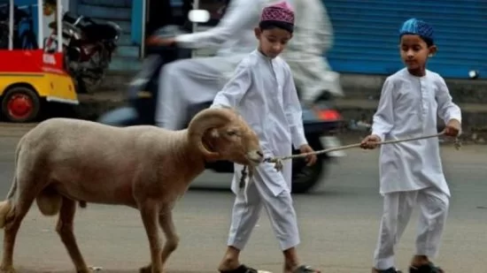 Qurban kəsirik: nəyi bilməliyik?