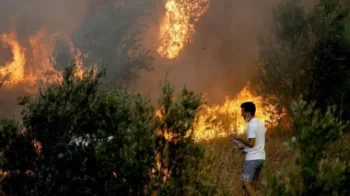 Türkiyənin müxtəlif ərazilərində meşə yanğınları olub