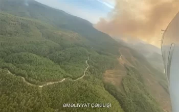 Amfibiya təyyarəmizin Türkiyədəki yanğınlarla mübarizə görüntüləri - Video