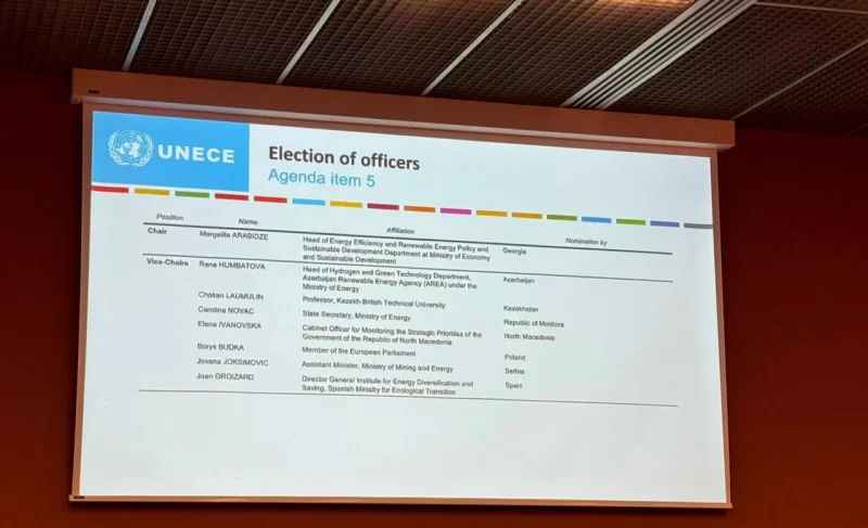 Bərpa Olunan Enerji Mənbələri Dövlət Agentliyinin şöbə müdiri UNECE-nin Dayanıqlı Enerji Komitəsinin vitse-sədri seçilib