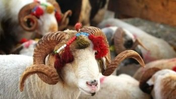 Qurban bayramında dörd gün ardıcıl iş olmayacaq
