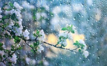 Hava ilə bağlı - Xəbərdarlıq