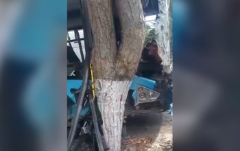 Bakıda marşrut avtobusu ağaca çırpıldı, 11 nəfər yaralandı