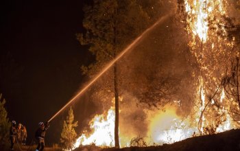 İspaniyada meşə yanğını - 12 ölü